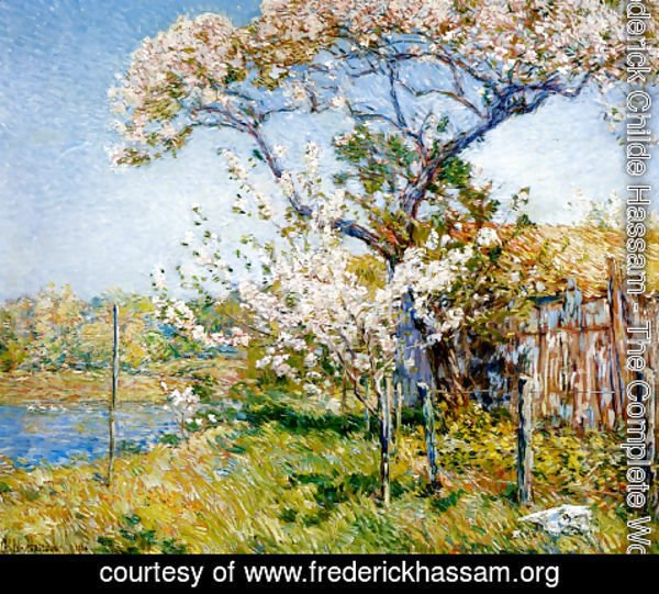 Frederick Childe Hassam - Apple Trees in Bloom, Old Lyme
