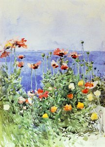 Poppies, Isles of Shoals II