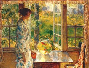 The Goldfish Window